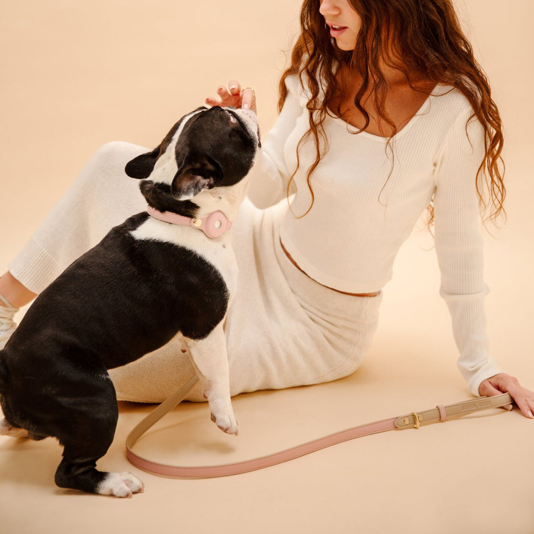 Dog Leash 4ft - Vegan Leather - Cupertino – Dog Leashes by Nina Woof