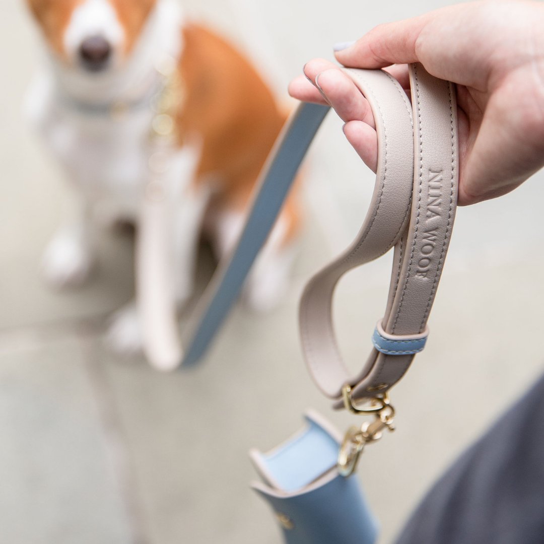 Dog Leash 4ft - Vegan Leather - Cupertino – Dog Leashes by Nina Woof
