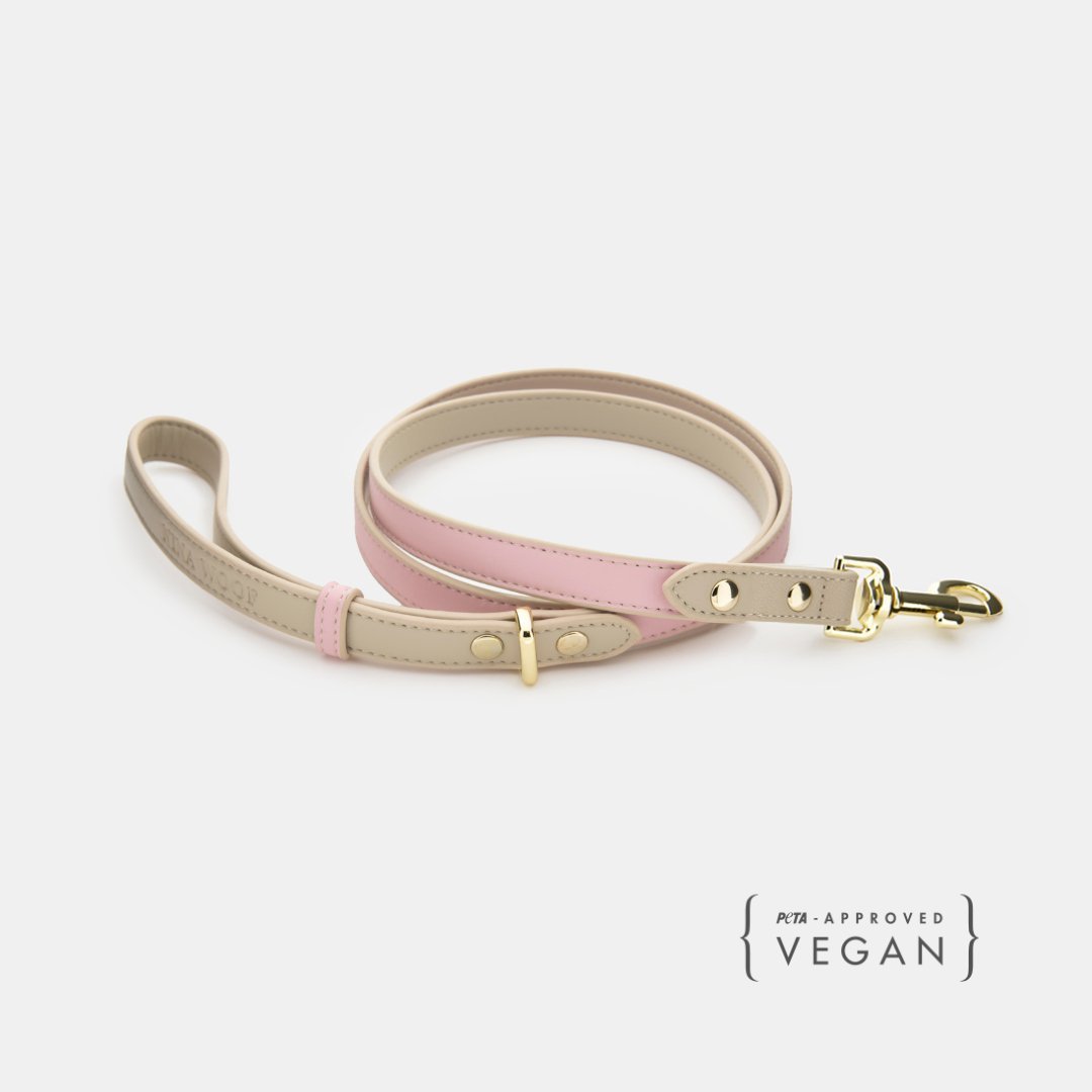 Dog Leash 4ft - Vegan Leather - Cupertino – Dog Leashes by Nina Woof