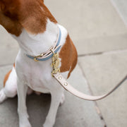 Dog Leash 4ft - Vegan Leather - Cupertino – Dog Leashes by Nina Woof