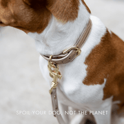 Dog Leash 4ft - Vegan Leather - Milan – Dog Leashes by Nina Woof