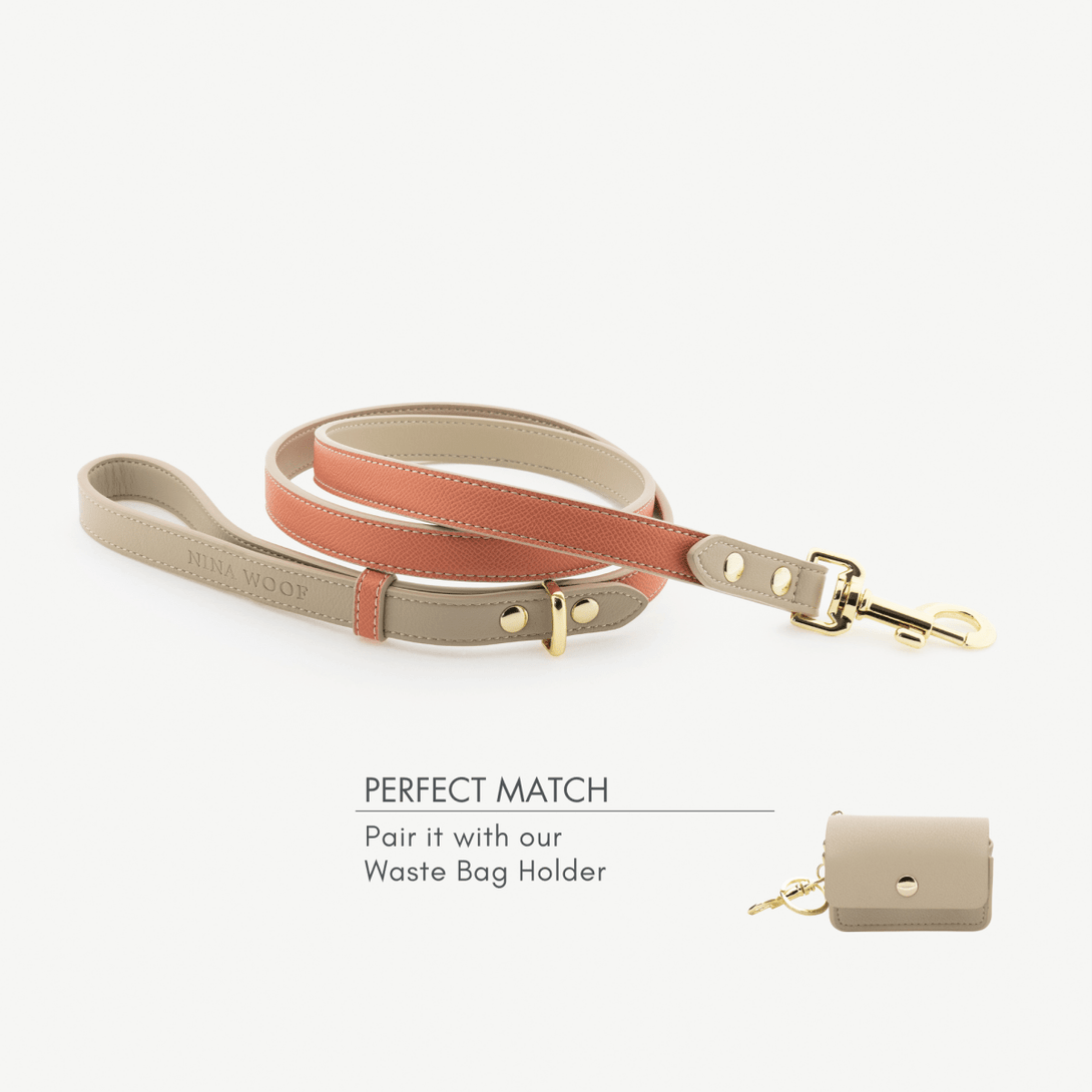 Dog Leash 4ft - Vegan Leather – Dog Leashes by Nina Woof