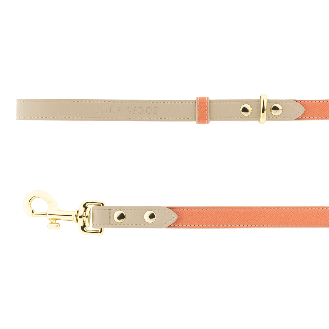 Dog Leash 4ft - Vegan Leather – Dog Leashes by Nina Woof