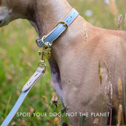 Dog Leash 4ft - Vegan Leather – Dog Leashes by Nina Woof