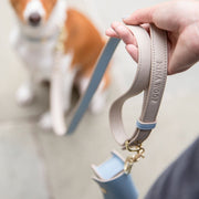 Dog Leash 4ft - Vegan Leather – Dog Leashes by Nina Woof