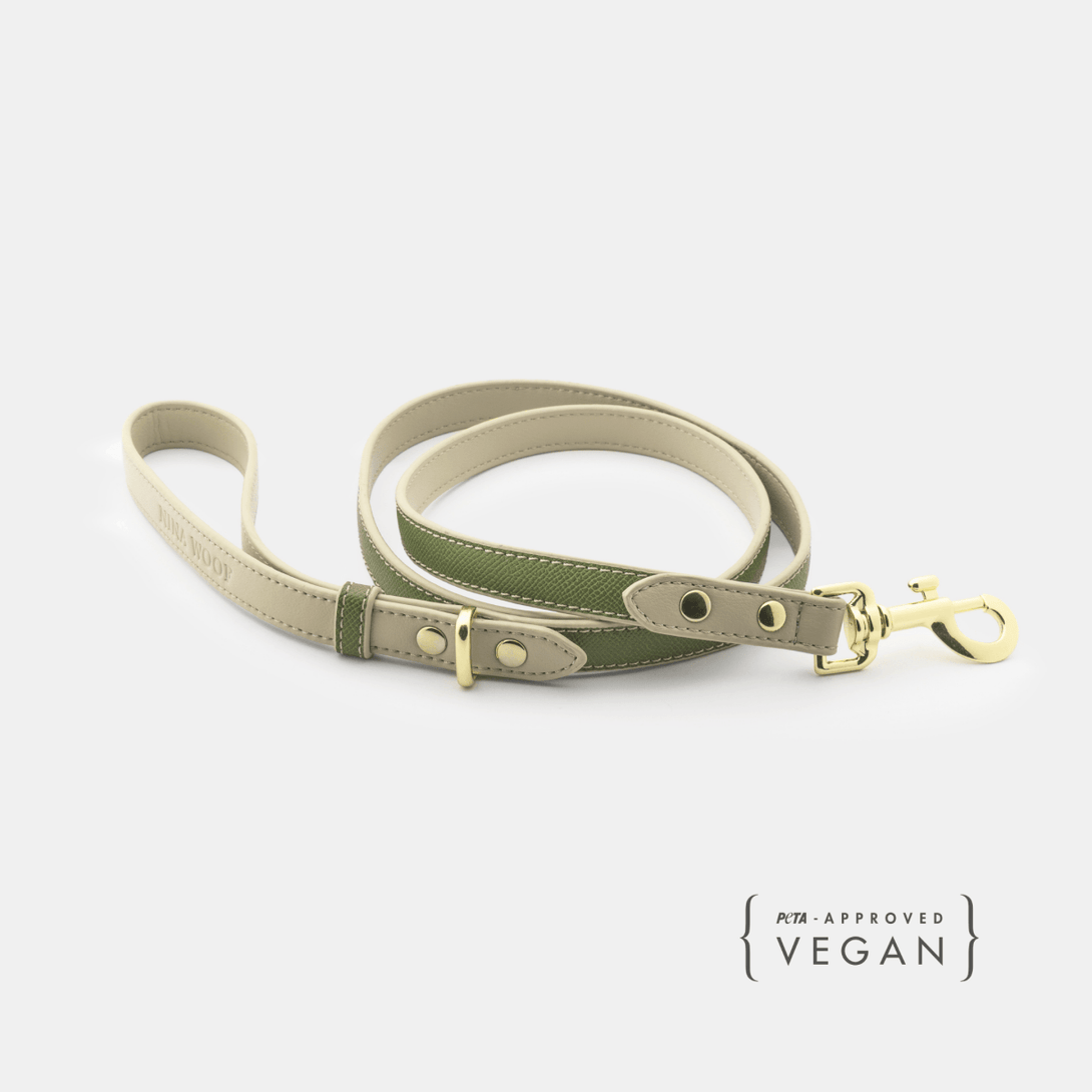Dog Leash 4ft - Vegan Leather – Dog Leashes by Nina Woof