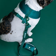Dog Poo Bag Holder - Emerald City – Dog Poop Bags & Dispensers by Frenchie Bulldog
