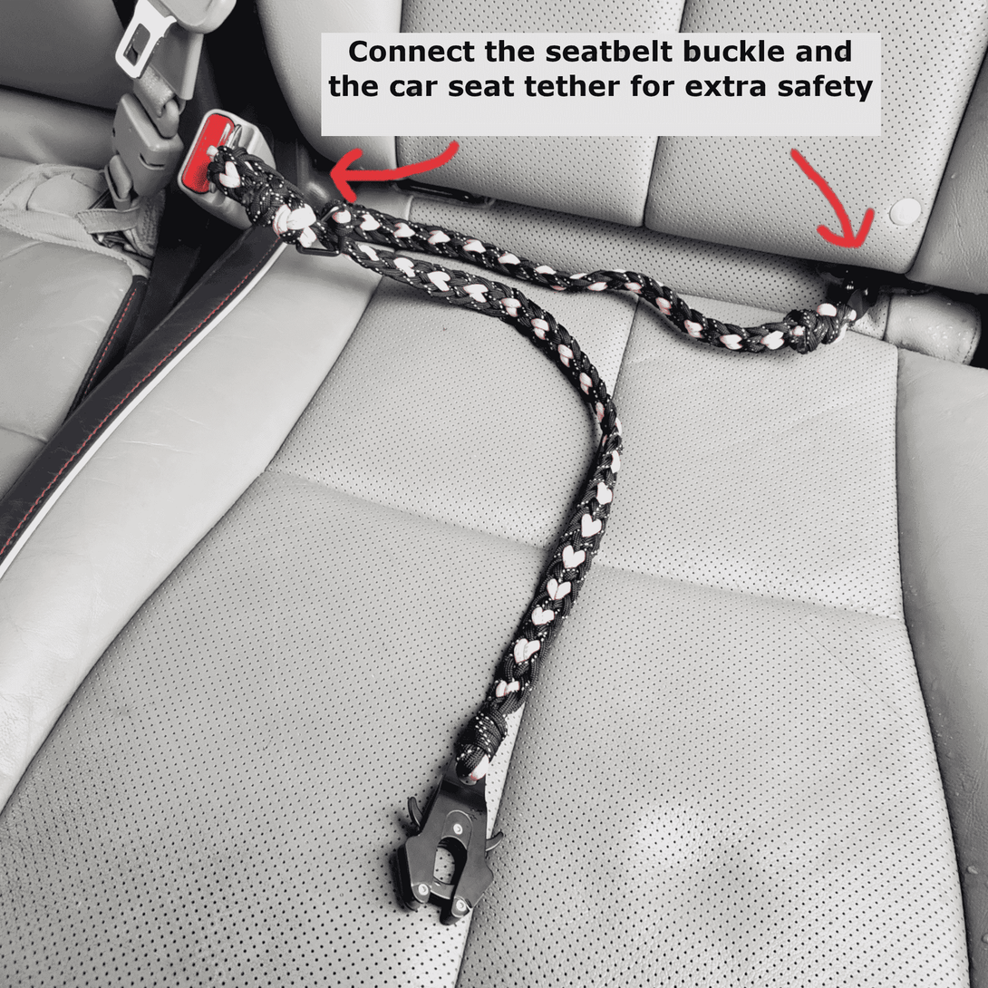 Dog Seat Belt Tether (4 - in - 1 Connect) – Dog Car Accessories by Carmella & Rose