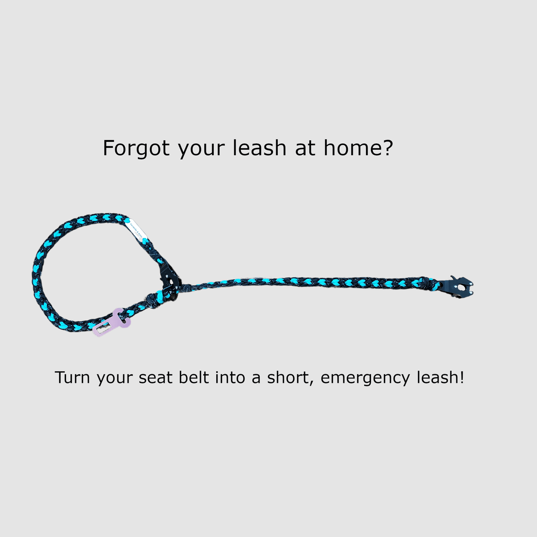 Dog Seat Belt Tether (4 - in - 1 Connect) – Dog Car Accessories by Carmella & Rose