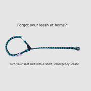 Dog Seat Belt Tether (4 - in - 1 Connect) – Dog Car Accessories by Carmella & Rose