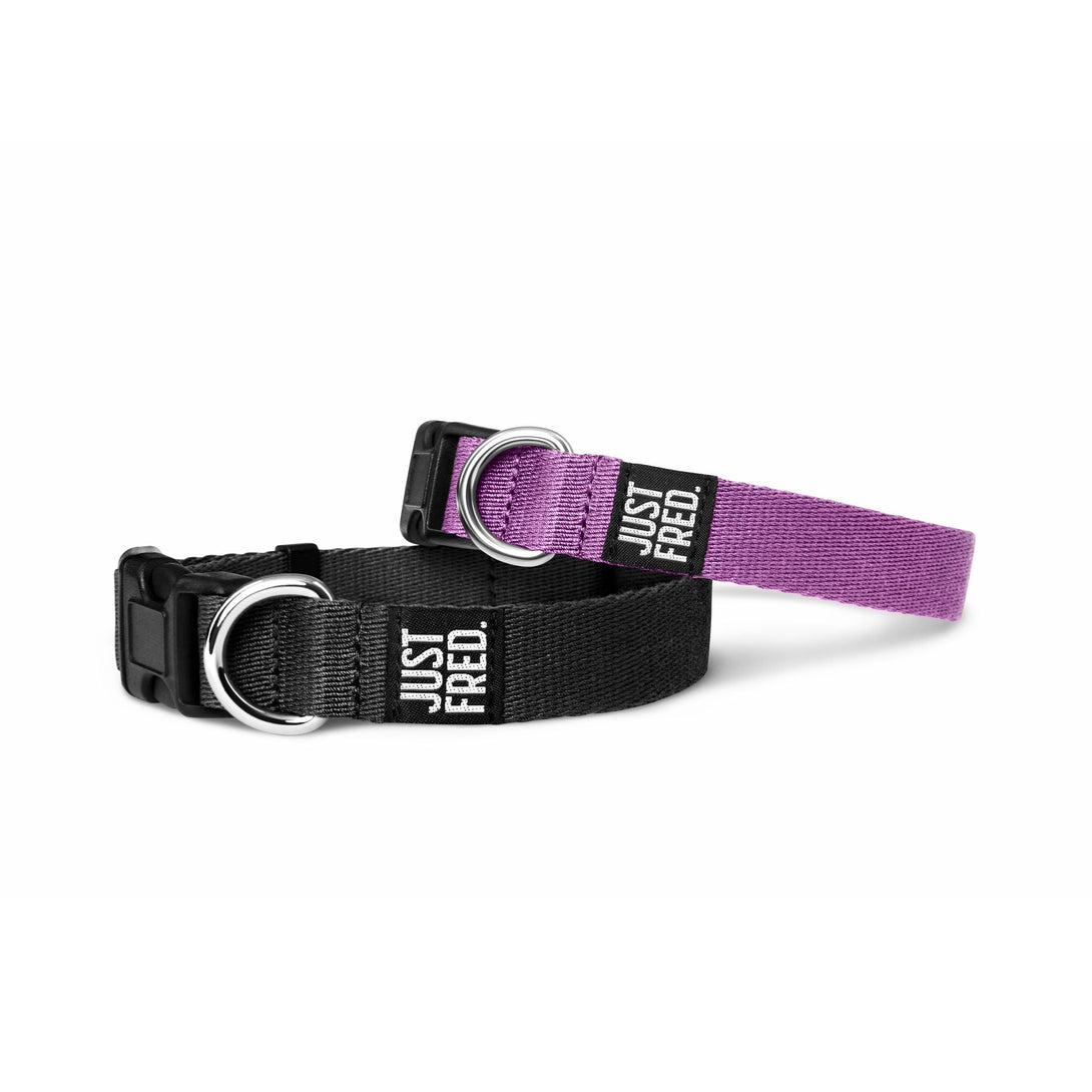 Dog Snap Collar. – Dog Collars by JUST FRED.
