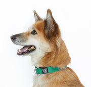 Dog Snap Collar. – Dog Collars by JUST FRED.