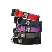Dog Snap Collar. – Dog Collars by JUST FRED.