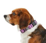 Dog Snap Collar. – Dog Collars by JUST FRED.