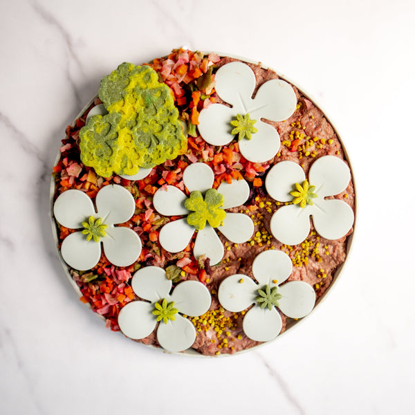 Dog Snuffle Mat Flowers – Lick & Snuffle Mats by FURLOU