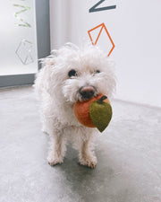 Doggy Peach Wool Dog Toy – Dog Toys by MODERNBEAST