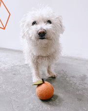 Doggy Peach Wool Dog Toy – Dog Toys by MODERNBEAST