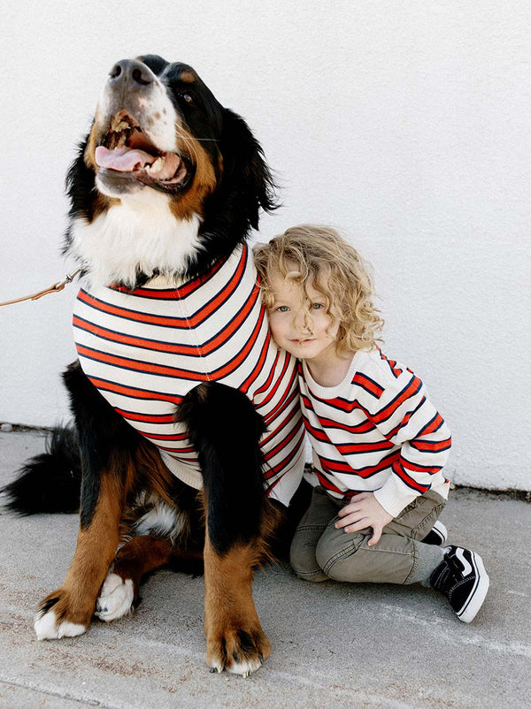 Rugby Sweater - Matching Dogs & Kids