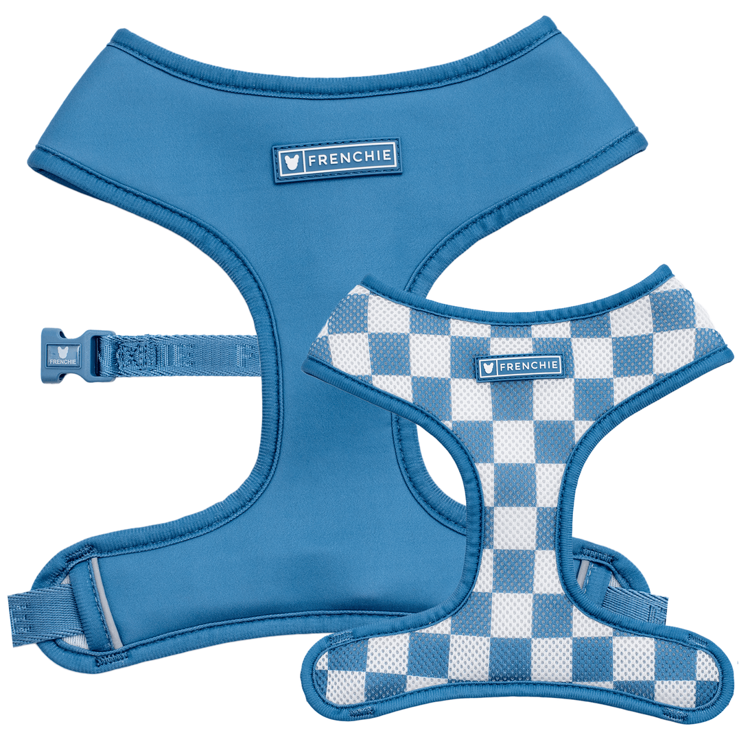 Duo Reversible Dog Harness - Blue Steel – Dog Harnesses by Frenchie Bulldog