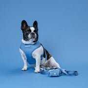 Duo Reversible Dog Harness - Blue Steel – Dog Harnesses by Frenchie Bulldog