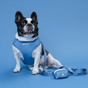 Duo Reversible Dog Harness - Blue Steel – Dog Harnesses by Frenchie Bulldog