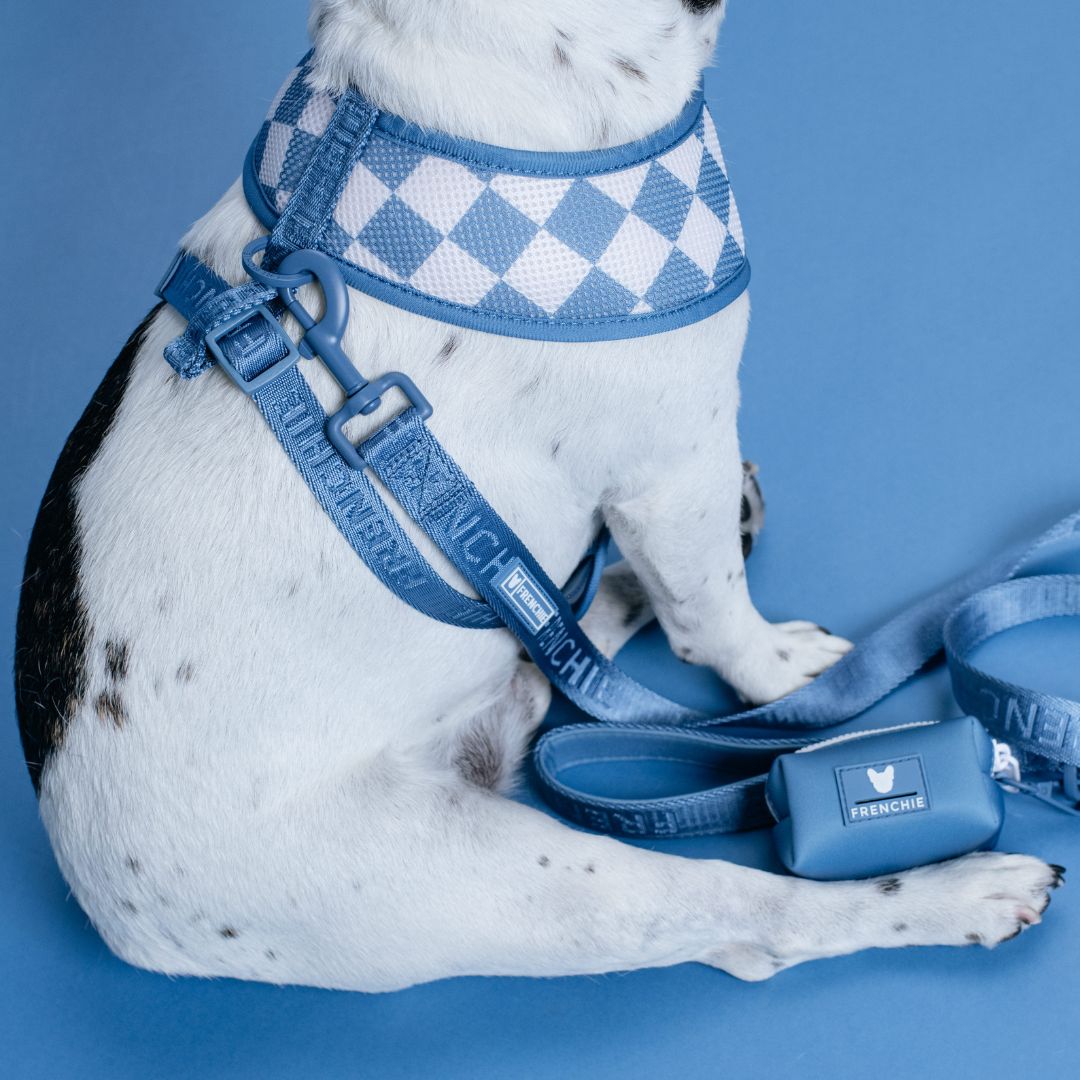 Duo Reversible Dog Harness - Blue Steel – Dog Harnesses by Frenchie Bulldog