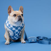 Duo Reversible Dog Harness - Blue Steel – Dog Harnesses by Frenchie Bulldog