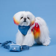 Duo Reversible Dog Harness - Blue Steel – Dog Harnesses by Frenchie Bulldog