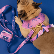 Duo Reversible Dog Harness - Pink Marble – Dog Harnesses by Frenchie Bulldog