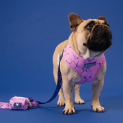 Duo Reversible Dog Harness - Pink Marble – Dog Harnesses by Frenchie Bulldog
