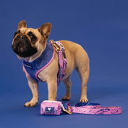 Duo Reversible Dog Harness - Pink Marble – Dog Harnesses by Frenchie Bulldog
