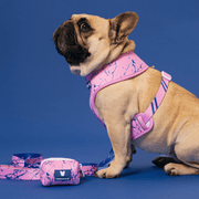 Duo Reversible Dog Harness - Pink Marble – Dog Harnesses by Frenchie Bulldog