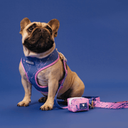 Duo Reversible Dog Harness - Pink Marble – Dog Harnesses by Frenchie Bulldog