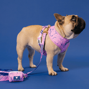 Duo Reversible Dog Harness - Pink Marble – Dog Harnesses by Frenchie Bulldog