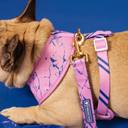 Duo Reversible Dog Harness - Pink Marble – Dog Harnesses by Frenchie Bulldog