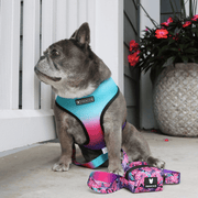Duo Reversible Dog Harness - Tropical Palms – Dog Harnesses by Frenchie Bulldog