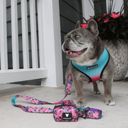 Duo Reversible Dog Harness - Tropical Palms – Dog Harnesses by Frenchie Bulldog