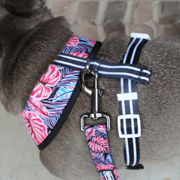 Duo Reversible Dog Harness - Tropical Palms – Dog Harnesses by Frenchie Bulldog