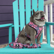 Duo Reversible Dog Harness - Tropical Palms – Dog Harnesses by Frenchie Bulldog