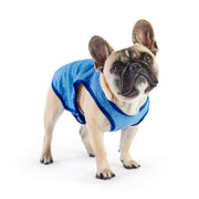 Elasto - Fit Ice Dog Cooling Vest - Blue – Jackets & Coats by GF Pet.us