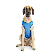 Elasto - Fit Ice Dog Cooling Vest - Blue – Jackets & Coats by GF Pet.us