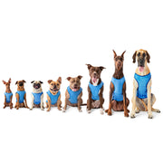 Elasto - Fit Ice Dog Cooling Vest - Blue – Jackets & Coats by GF Pet.us