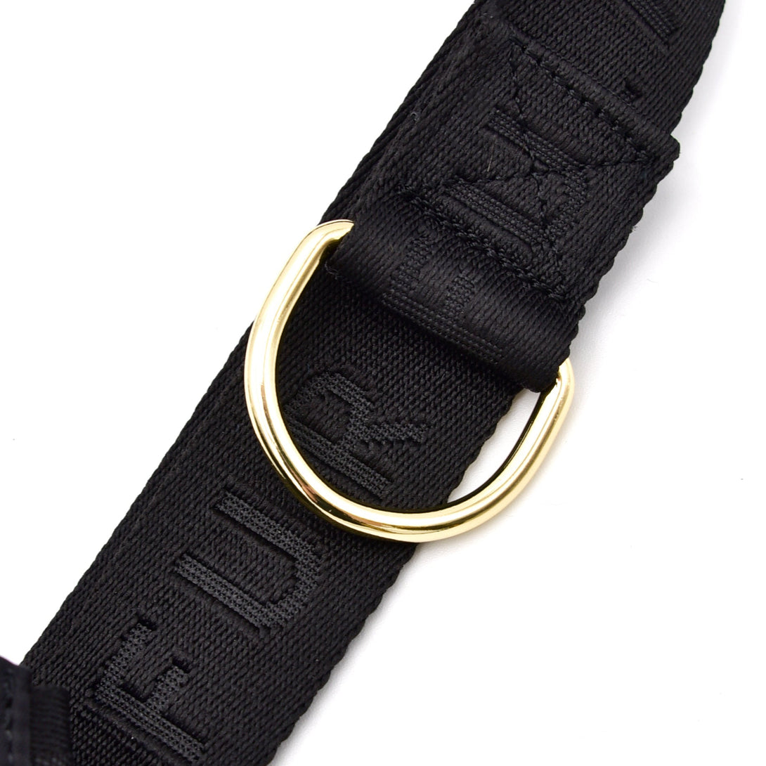 Elise Dog Walking Belt Bag - Noir – Dog Walking Bags & Pouches by Fur Elise Pets