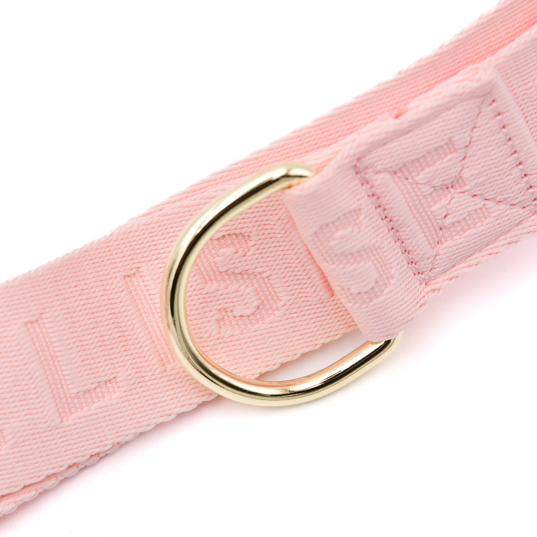 Elise Dog Walking Belt Bag - Rose – Dog Walking Bags & Pouches by Fur Elise Pets