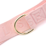 Elise Dog Walking Belt Bag - Rose – Dog Walking Bags & Pouches by Fur Elise Pets