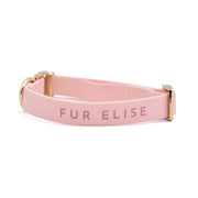 Elise Waterproof Dog Collar - Rose – Dog Collars by Fur Elise Pets