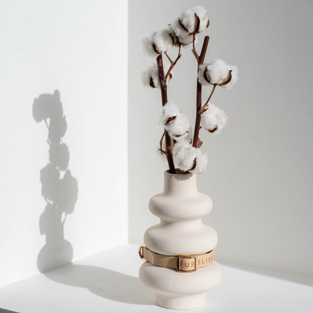 Elise Waterproof Dog Collar - Sand – Dog Collars by Fur Elise Pets