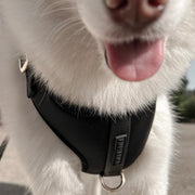 Elise Waterproof Dog Harness - Noir – Dog Harnesses by Fur Elise Pets