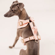 Elise Waterproof Dog Harness - Rose – Dog Harnesses by Fur Elise Pets