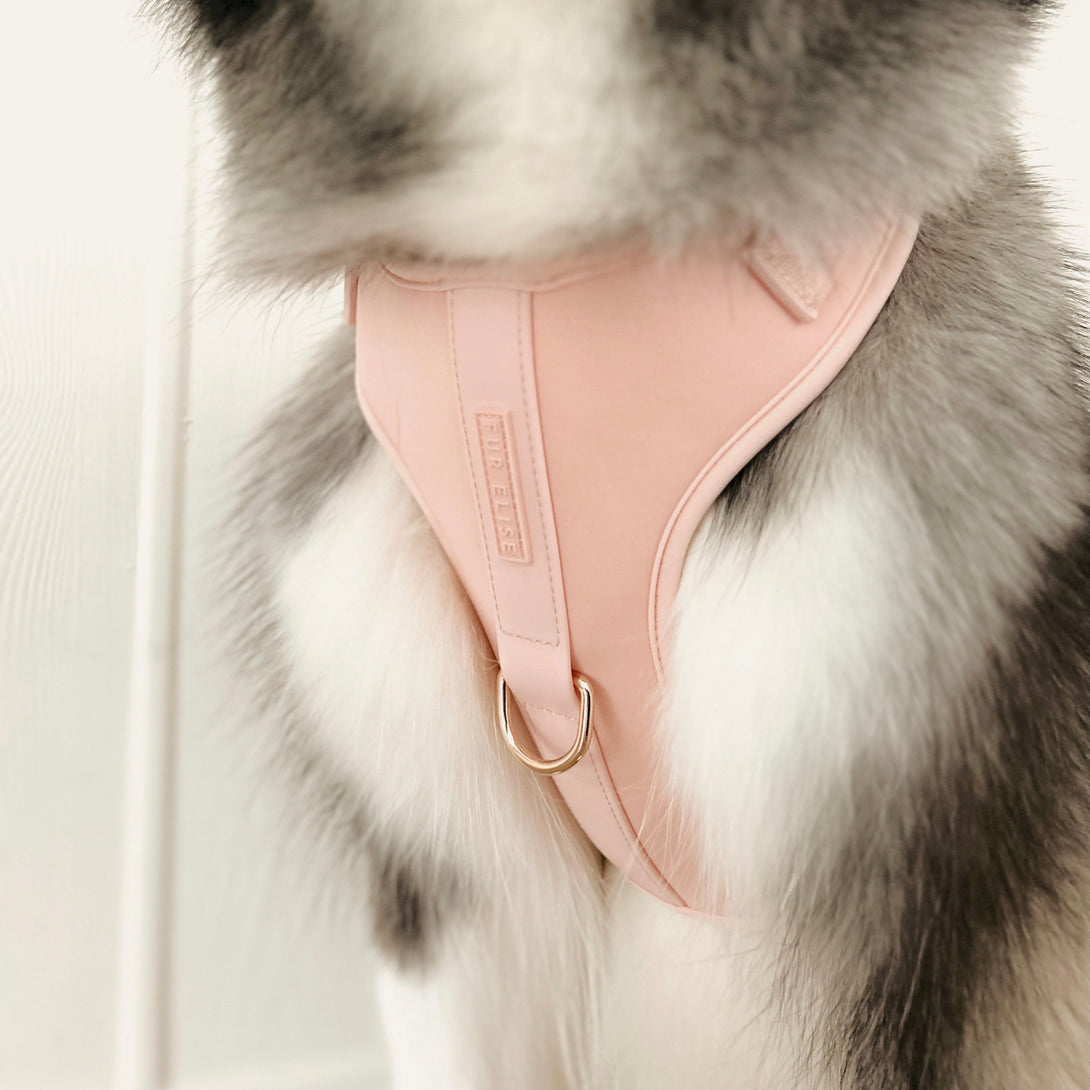 Elise Waterproof Dog Harness - Rose – Dog Harnesses by Fur Elise Pets